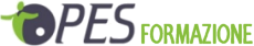 Left logo
